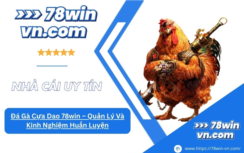 Đá Gà Cựa Dao 78win Quản Lý Và Kinh Nghiệm Huấn Luyện