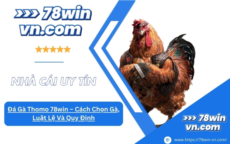 Đá Gà Thomo 78win Cách Chọn Gà, Luật Lệ Và Quy Định