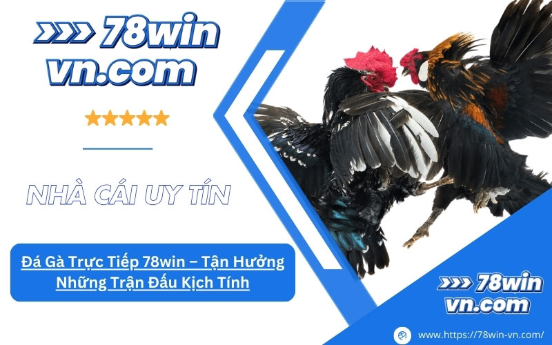 Đá Gà Trực Tiếp 78win Tận Hưởng Những Trận Đấu Kịch Tính